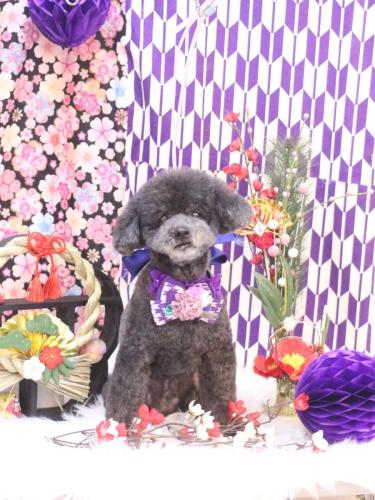 20250128コタロウくん